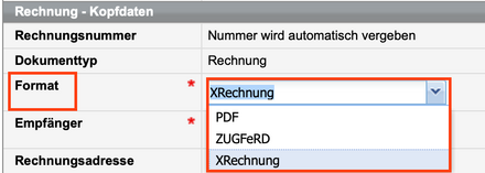 Rechnungsformular für Firmenrechnungen mit Auswahlmöglichkeit des Rechnungsformates für den E-Mail-Versand