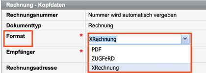 Rechnungsformular für Firmenrechnungen mit Auswahlmöglichkeit des Rechnungsformates für den E-Mail-Versand